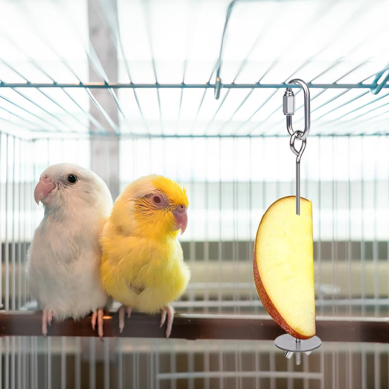 Stainless Steel Fruit Fork Bird Feeder for Parrots – 1 or 2 Pack