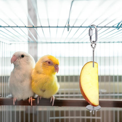 Stainless Steel Fruit Fork Bird Feeder for Parrots – 1 or 2 Pack