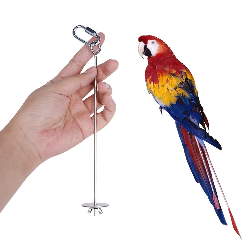 Stainless Steel Fruit Fork Bird Feeder for Parrots – 1 or 2 Pack