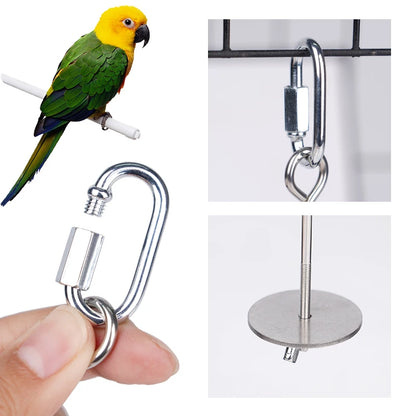 Stainless Steel Fruit Fork Bird Feeder for Parrots – 1 or 2 Pack