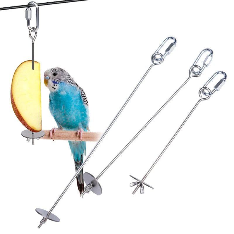 Stainless Steel Fruit Fork Bird Feeder for Parrots – 1 or 2 Pack