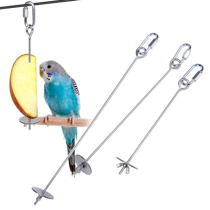 Stainless Steel Fruit Fork Bird Feeder for Parrots – 1 or 2 Pack